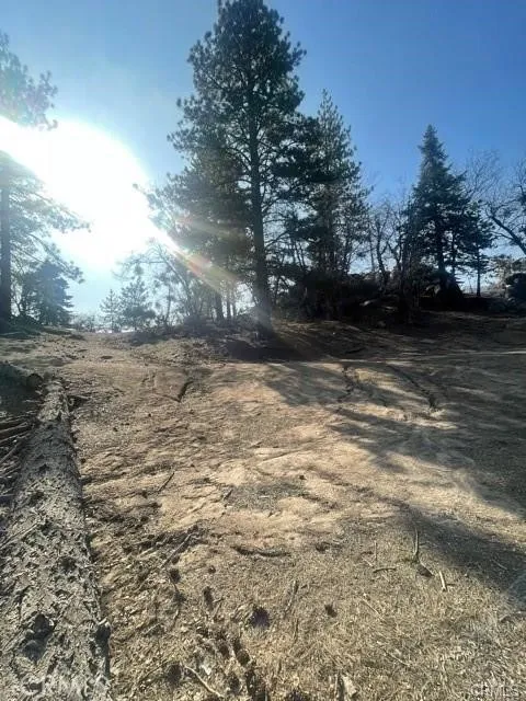 Forrest Dr Running Springs, CA 92382