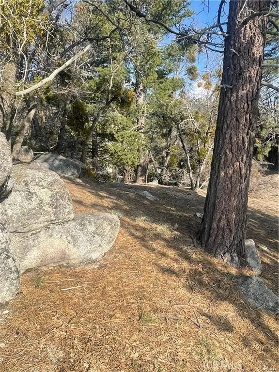 Forrest Dr Running Springs, CA 92382