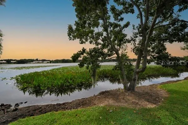 1502 NE BUCKEYE ROAD NE #2 Winter Haven, FL 33881
