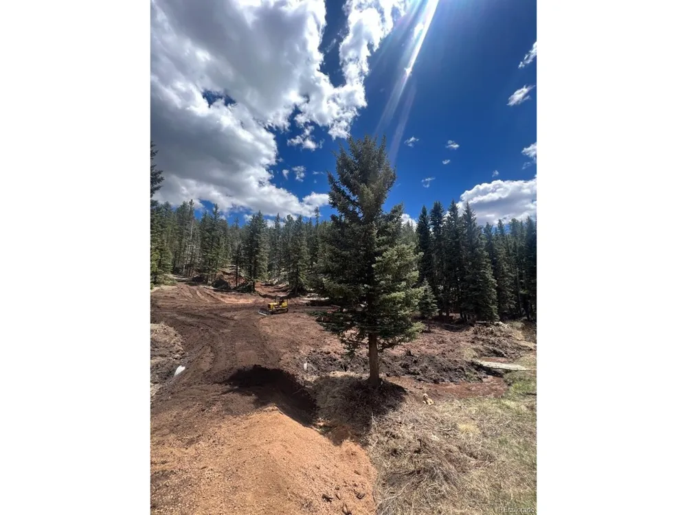 1570 Pathfinder Road Florissant, CO 80816