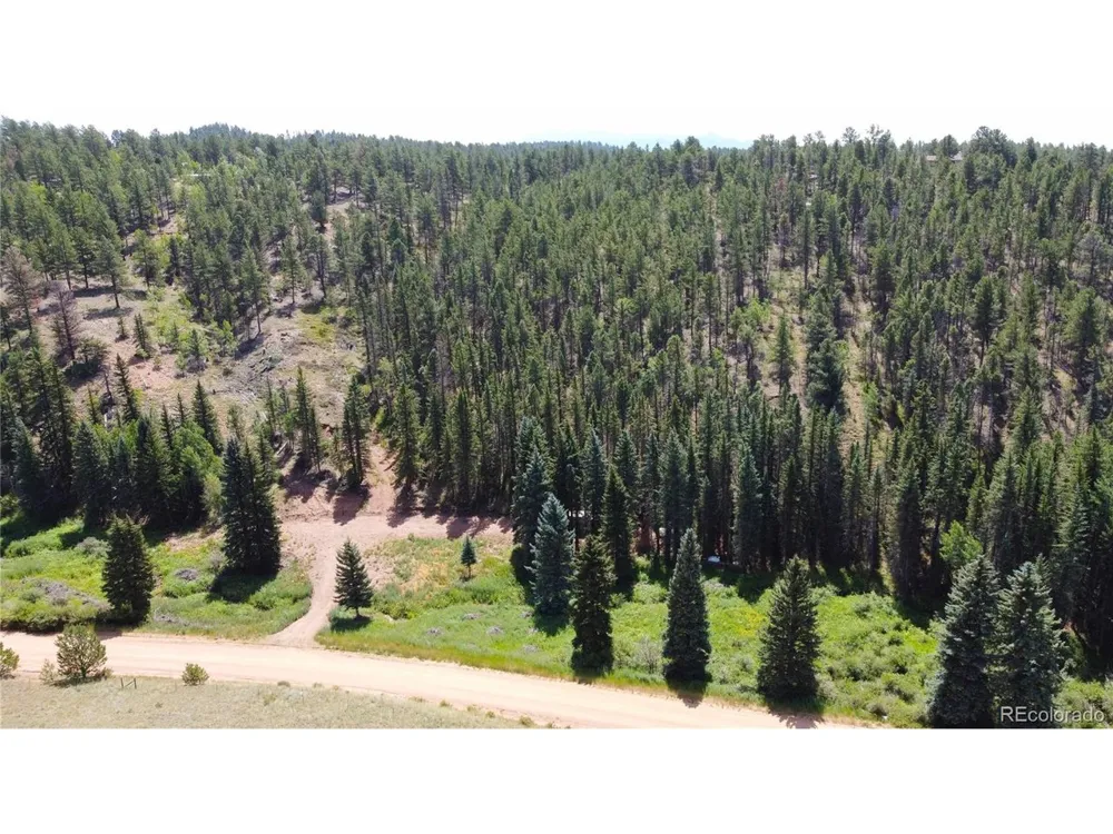 1570 Pathfinder Road Florissant, CO 80816