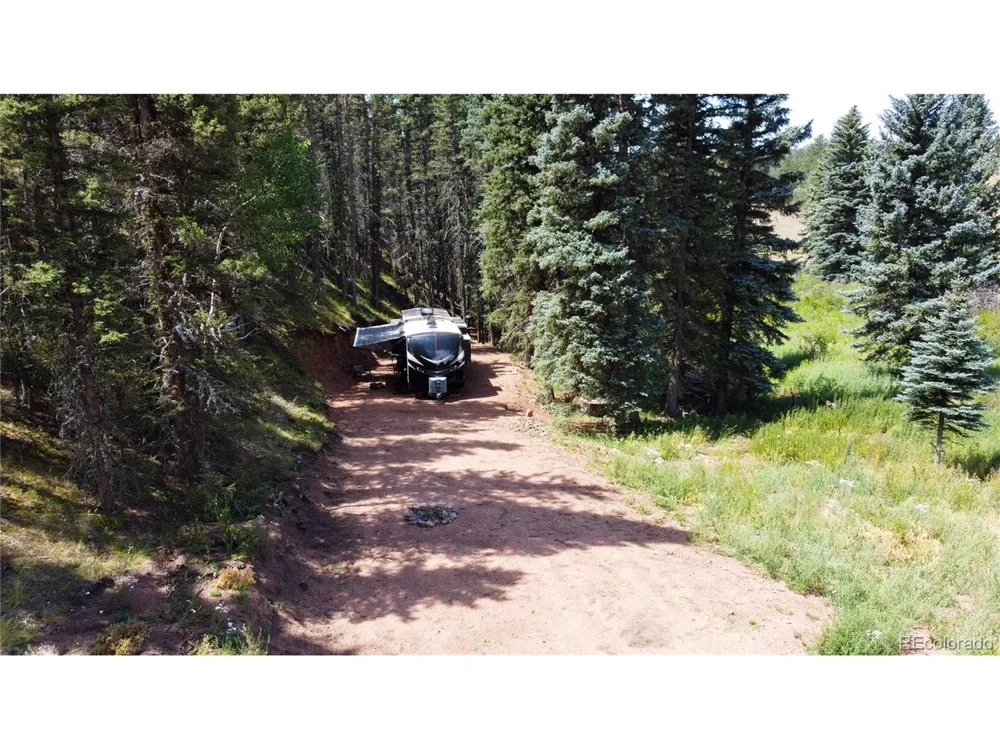 1570 Pathfinder Road Florissant, CO 80816