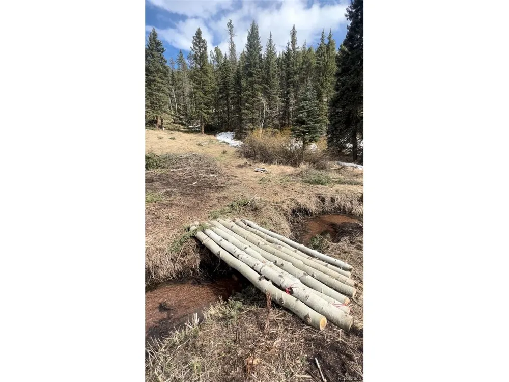 1570 Pathfinder Road Florissant, CO 80816