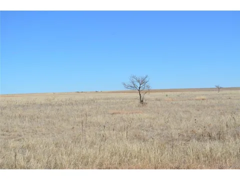 County Road 11