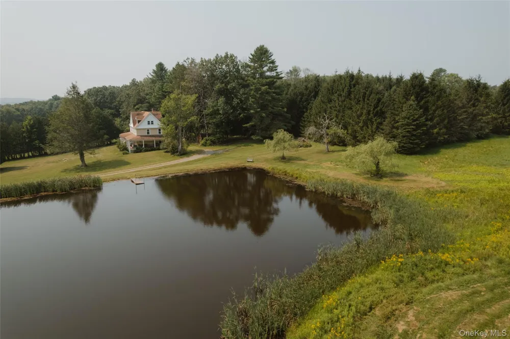 91 Old Hankins Road Callicoon, NY 12723