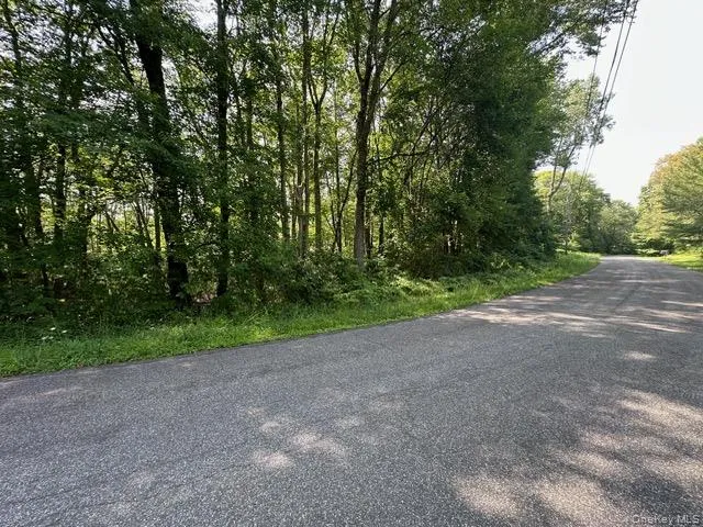 Crest Lane Highland, NY 12528