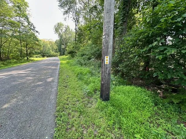 Crest Lane Highland, NY 12528