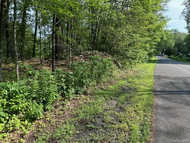 Crest Lane Highland, NY 12528
