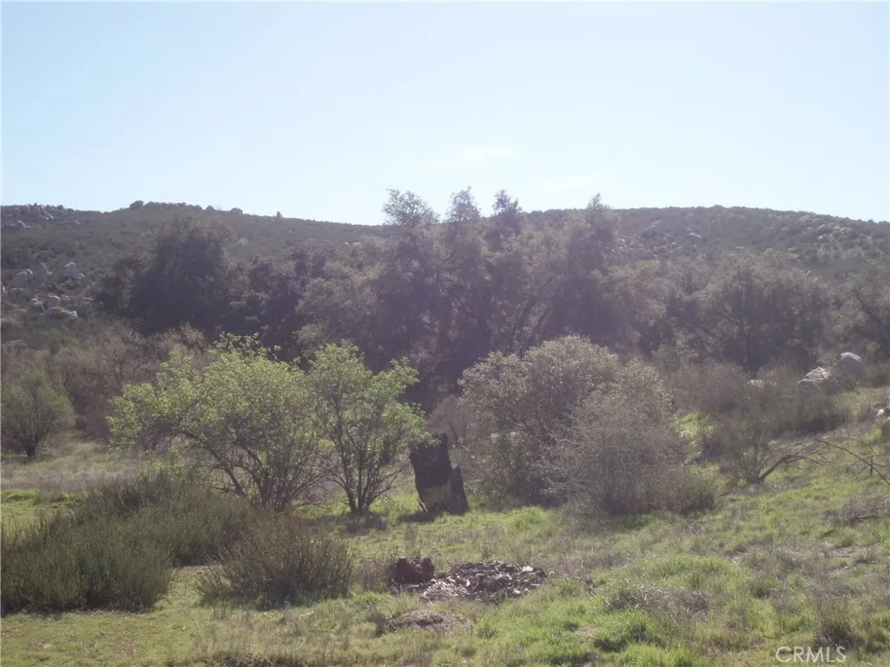 Willow Canyon Road Hemet, CA 92544