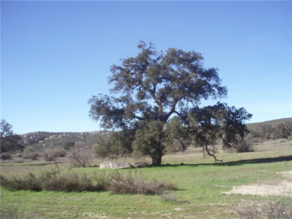 Willow Canyon Road Hemet, CA 92544