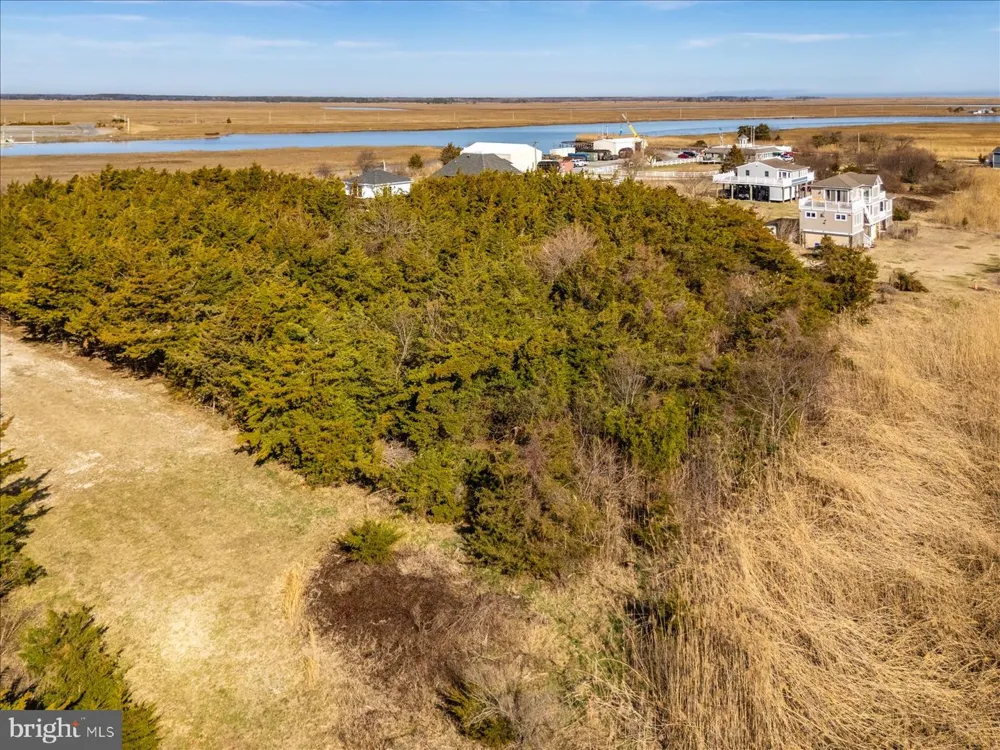 106 BLUE HERON Milford, DE 19963