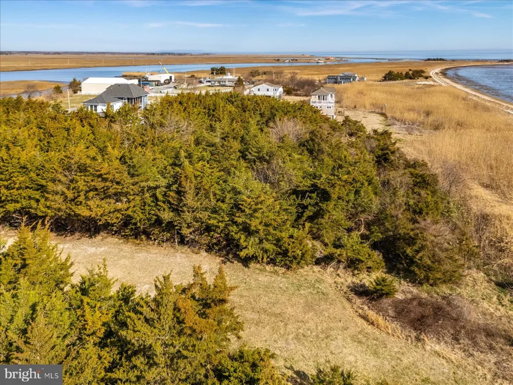 106 BLUE HERON Milford, DE 19963