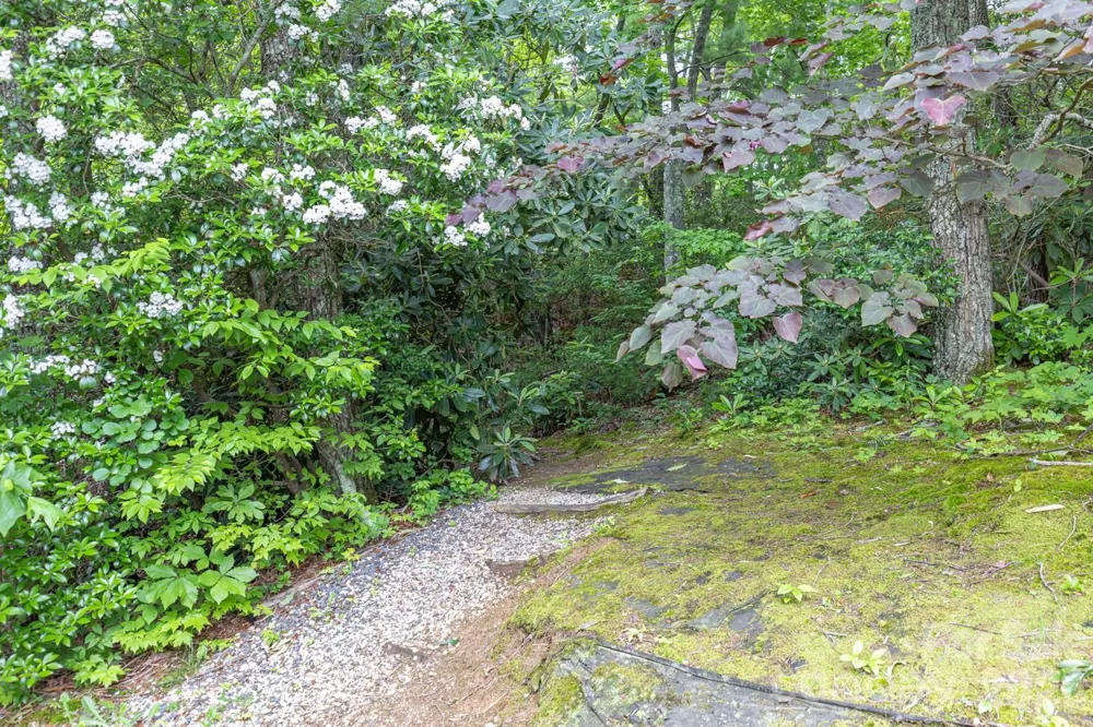 6 Grouse Terrace Fairview, NC 28730