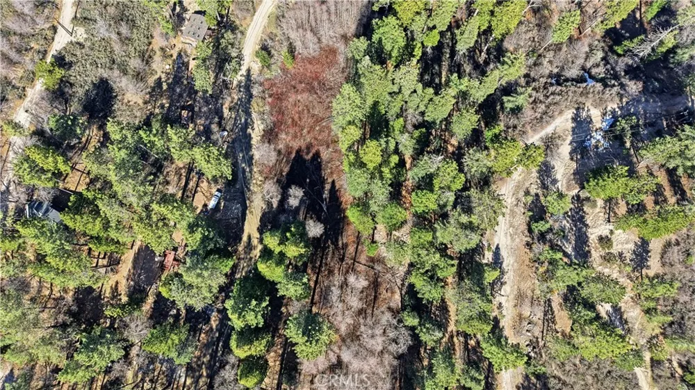 Little Bear Creek Cedar Glen, CA 92321