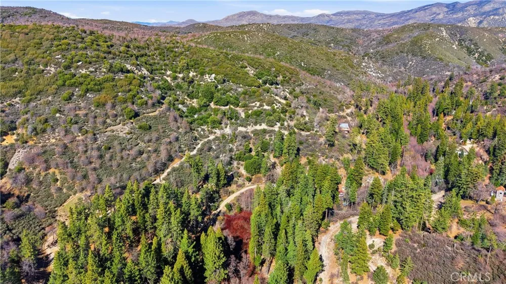Little Bear Creek Cedar Glen, CA 92321