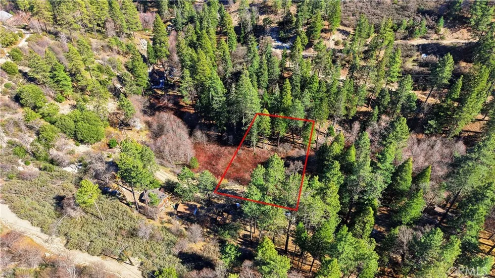 Little Bear Creek Cedar Glen, CA 92321