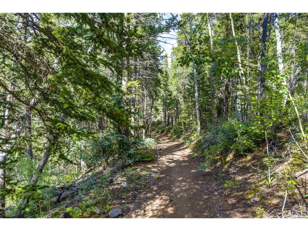 3153 Ridge Road Nederland, CO 80466