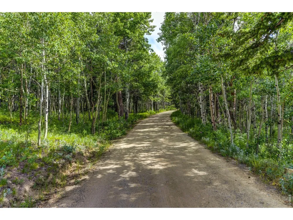 3153 Ridge Road Nederland, CO 80466