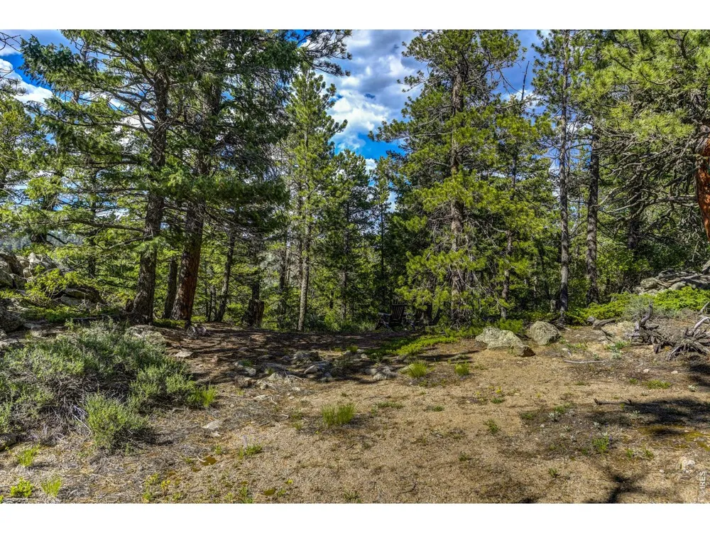 3153 Ridge Road Nederland, CO 80466
