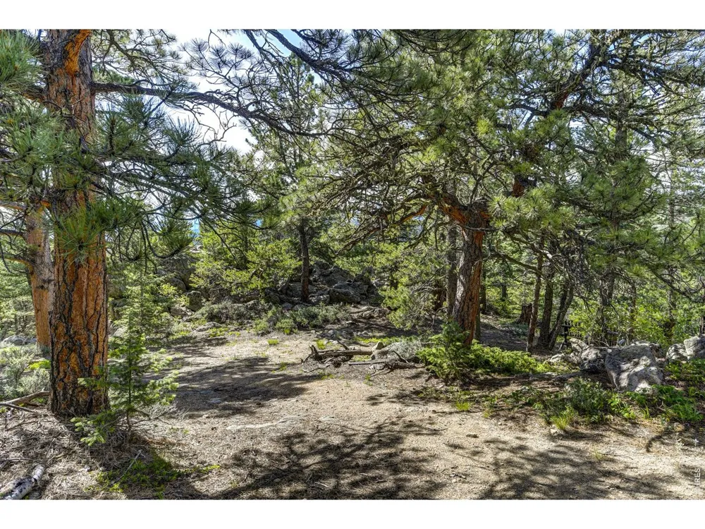 3153 Ridge Road Nederland, CO 80466