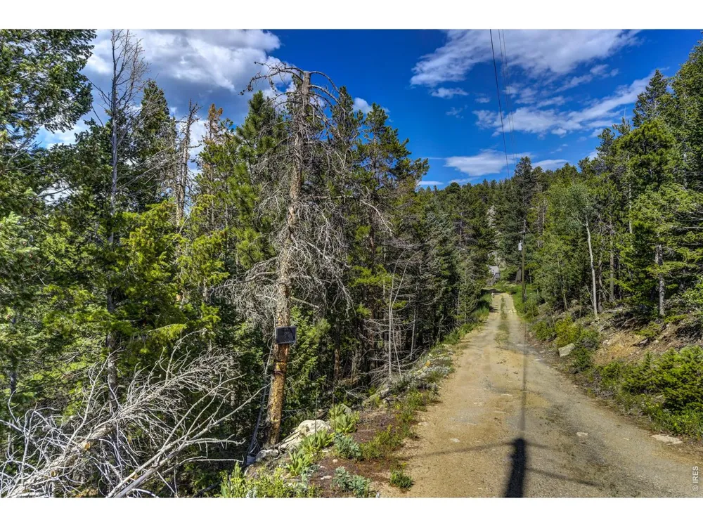 3153 Ridge Road Nederland, CO 80466