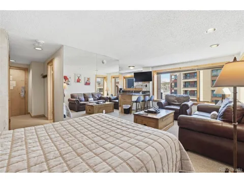 535 S Park Avenue #4-505