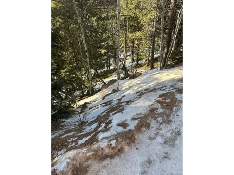 1600 Pikes Peak Drive