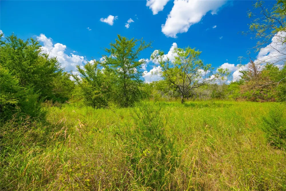 Lcr 258 Mexia, TX 76667