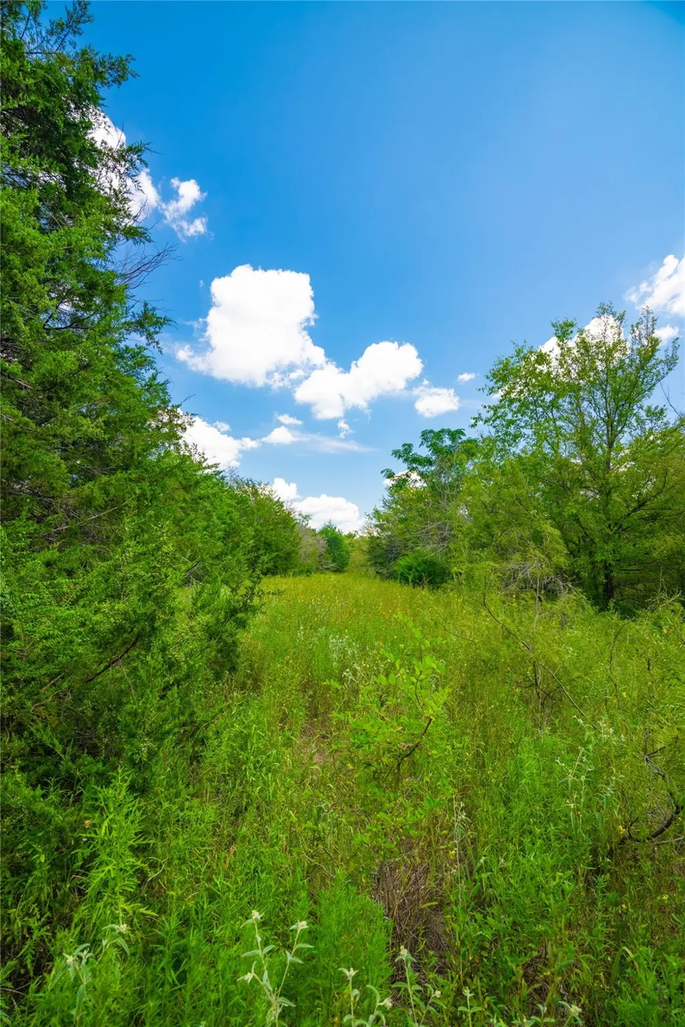 Lcr 258 Mexia, TX 76667