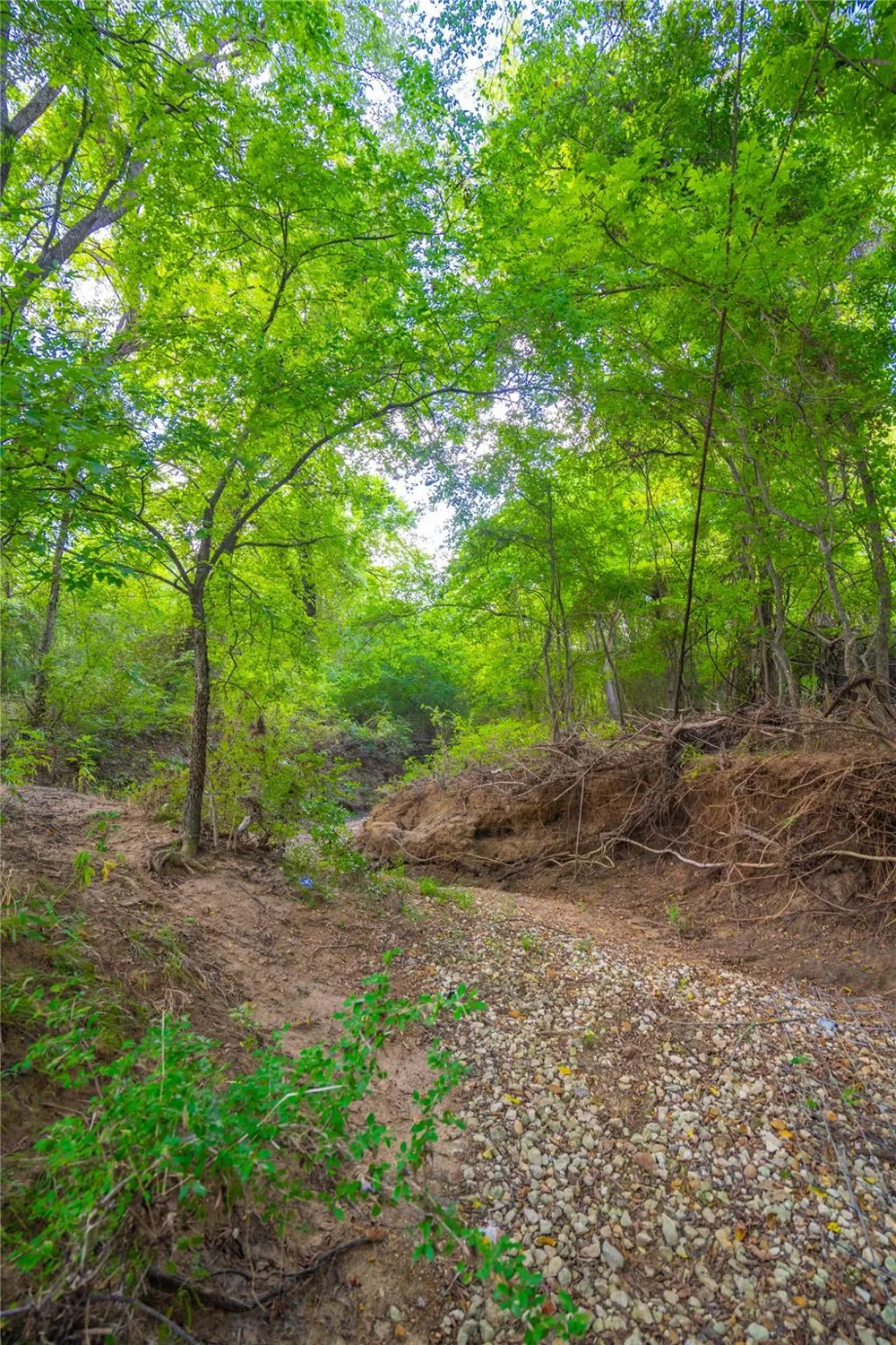 Lcr 258 Mexia, TX 76667