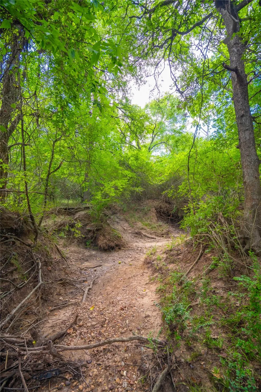 Lcr 258 Mexia, TX 76667