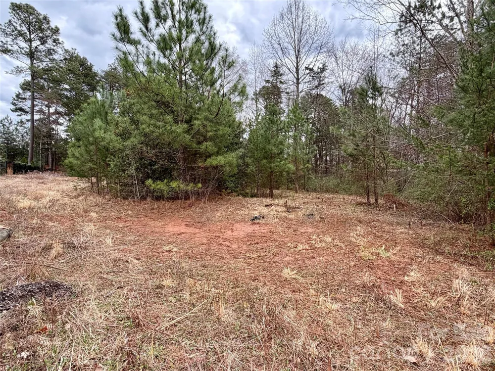3 Dola Ray Place #3 Stanley, NC 28164