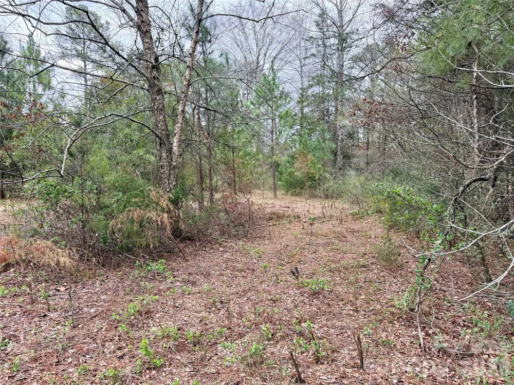 3 Dola Ray Place #3 Stanley, NC 28164