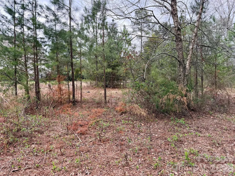 3 Dola Ray Place #3 Stanley, NC 28164