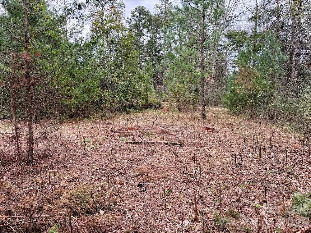 3 Dola Ray Place #3 Stanley, NC 28164