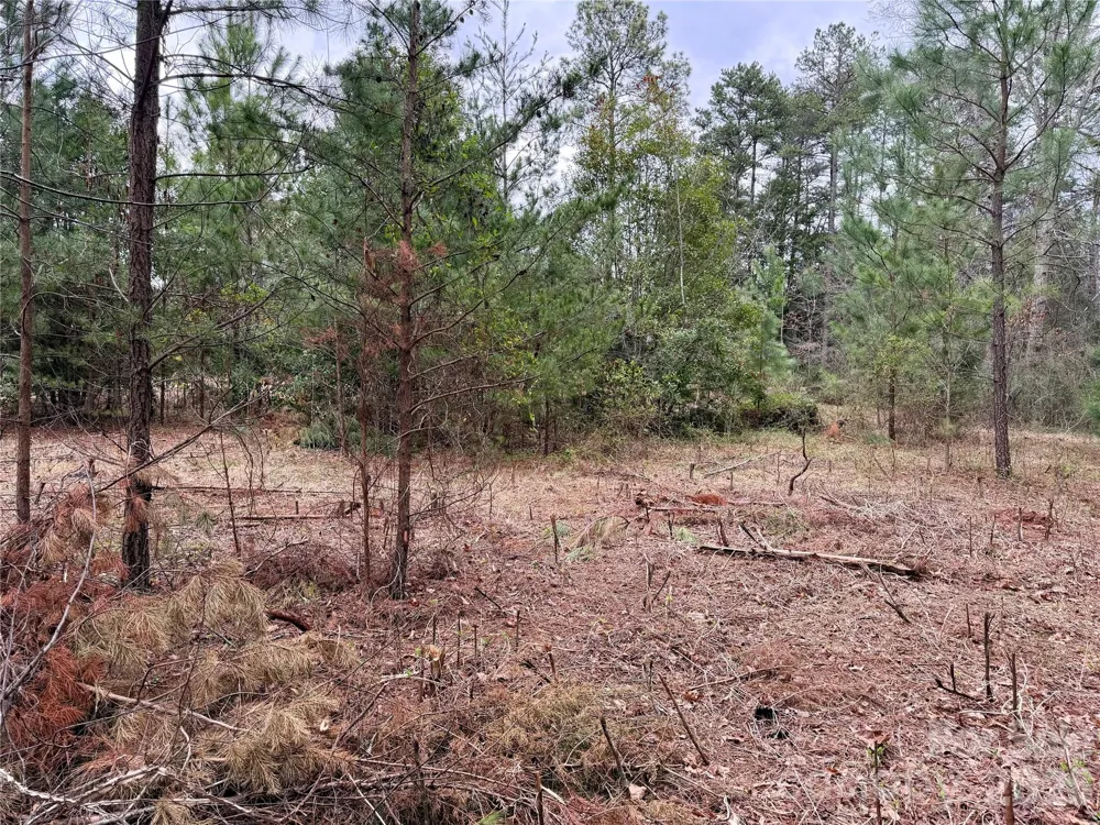 3 Dola Ray Place #3 Stanley, NC 28164
