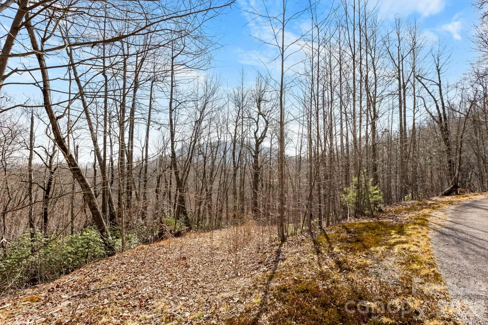 Lot 5 Laurel Mountain Trail Black Mountain, NC 28711