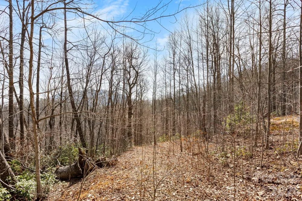 Lot 5 Laurel Mountain Trail Black Mountain, NC 28711