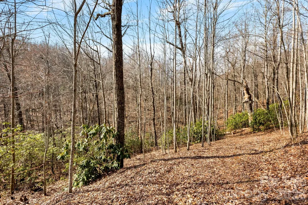 Lot 5 Laurel Mountain Trail Black Mountain, NC 28711