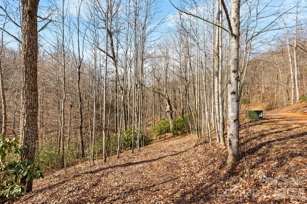 Lot 5 Laurel Mountain Trail Black Mountain, NC 28711