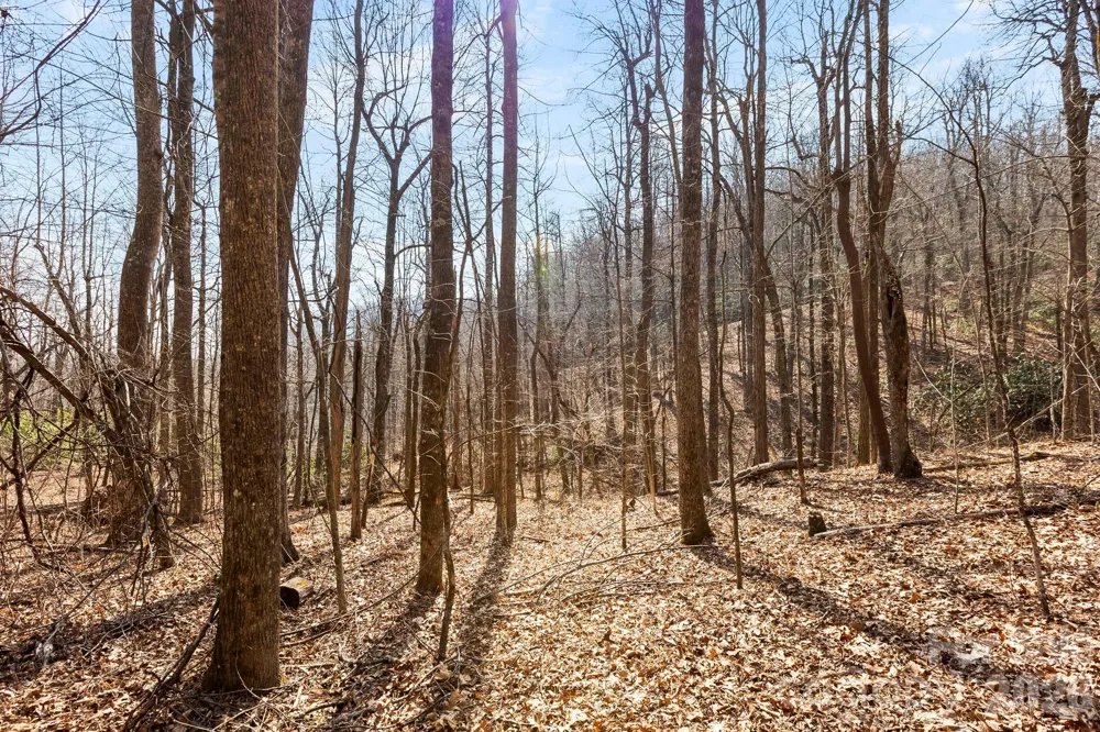 Lot 5 Laurel Mountain Trail Black Mountain, NC 28711