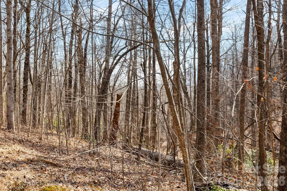 Lot 5 Laurel Mountain Trail Black Mountain, NC 28711