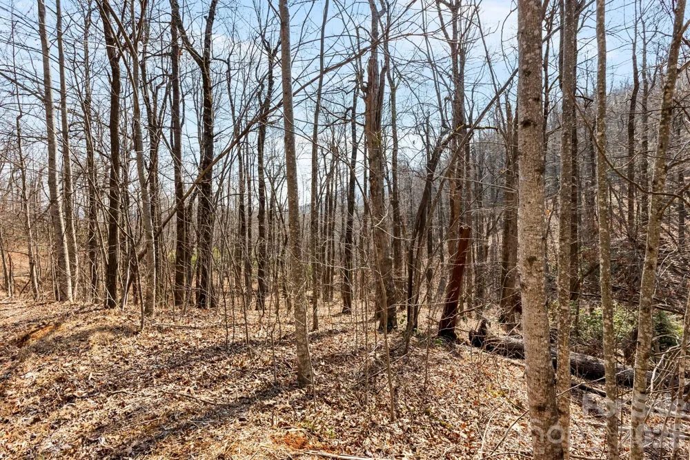 Lot 5 Laurel Mountain Trail Black Mountain, NC 28711