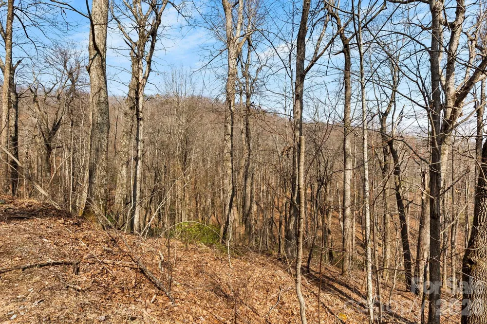 Lot 5 Laurel Mountain Trail Black Mountain, NC 28711