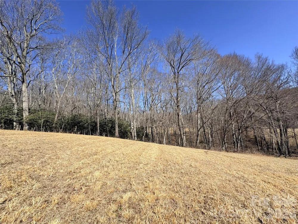 Lot 1 Elk Creek Mountain Parkway Todd, NC 28684