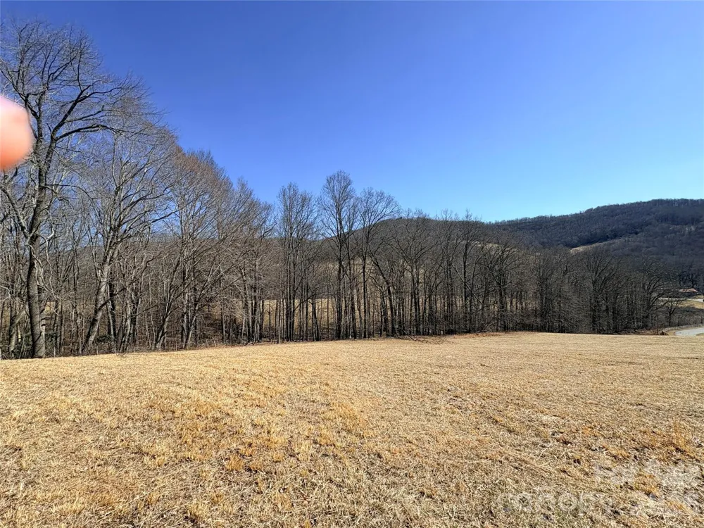 Lot 1 Elk Creek Mountain Parkway Todd, NC 28684