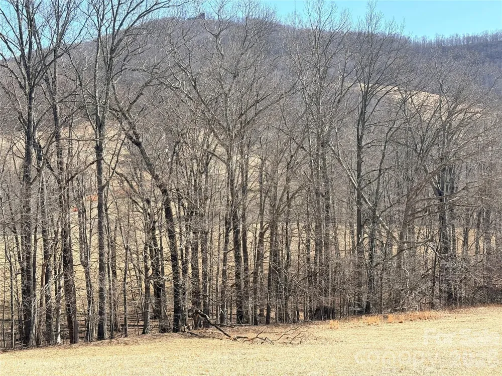 Lot 1 Elk Creek Mountain Parkway Todd, NC 28684