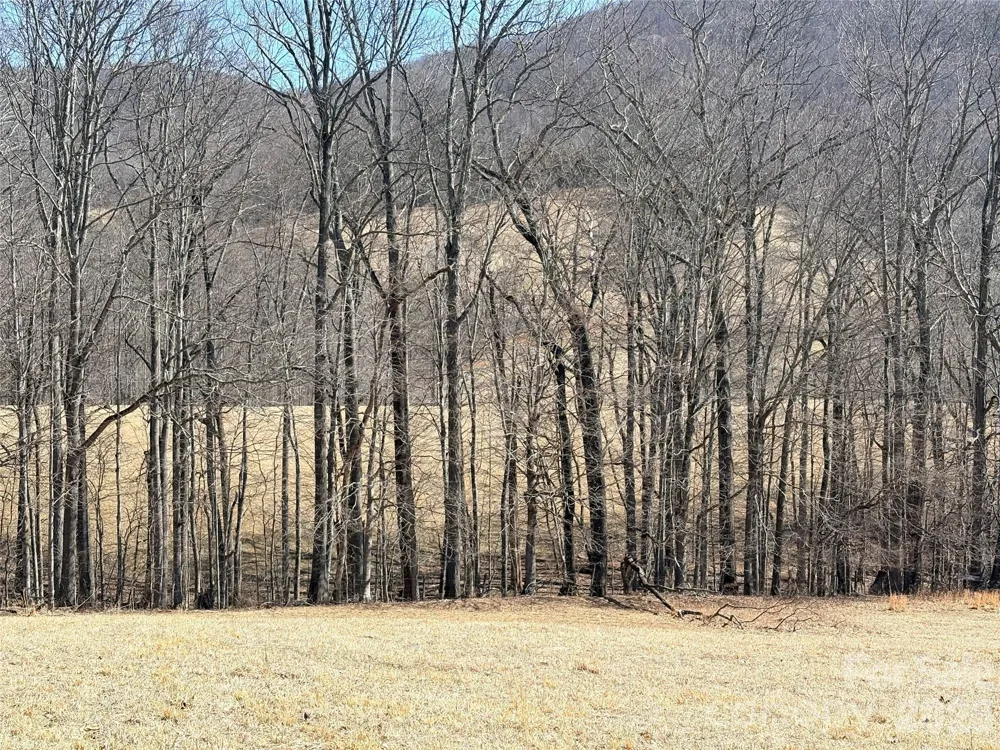 Lot 1 Elk Creek Mountain Parkway Todd, NC 28684