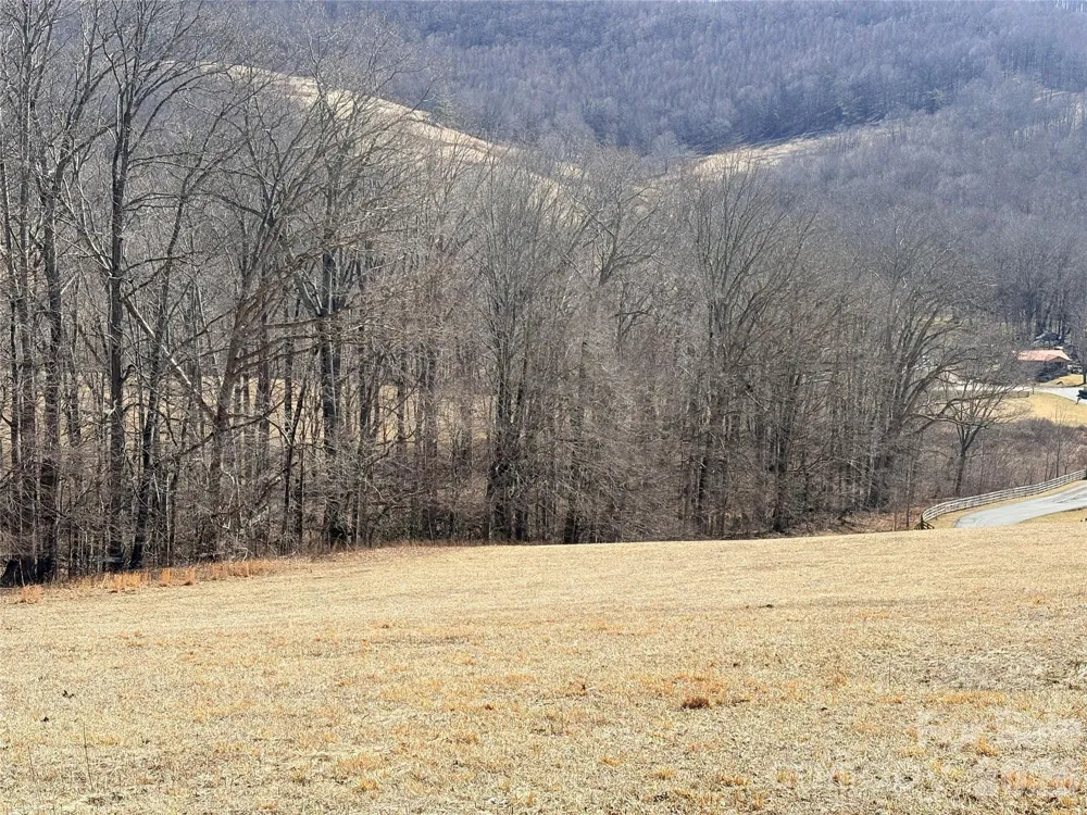 Lot 1 Elk Creek Mountain Parkway Todd, NC 28684