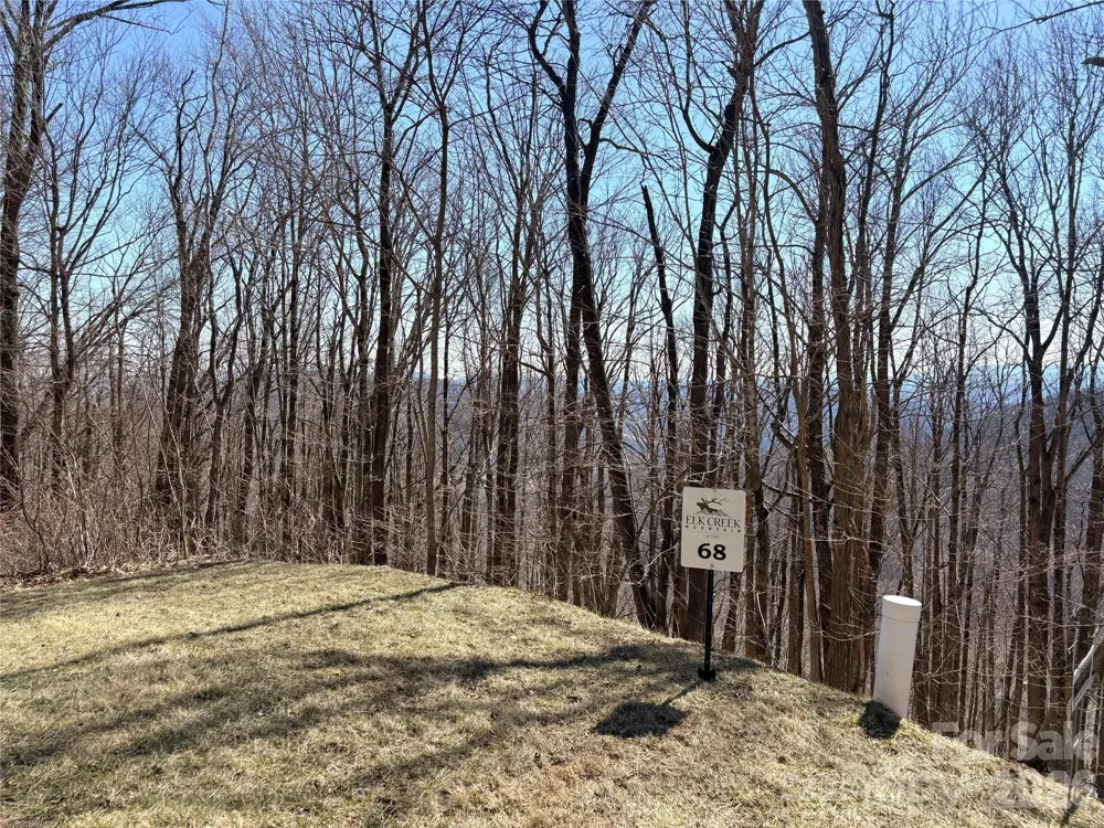 Lot 68 Elk Creek Mountain Parkway Todd, NC 28684